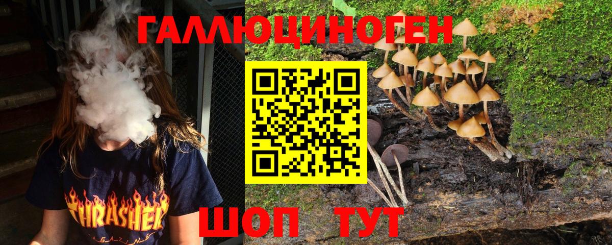 Галлюциногенные грибы Psilocybine cubensis Сухой Лог