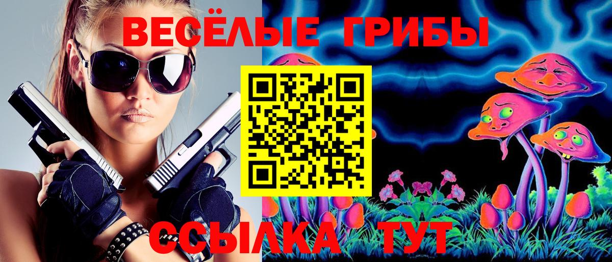 где можно купить наркотик  Псилоцибиновые грибы GOLDEN TEACHER  Вход с VPN  Сухой Лог 